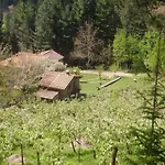 Mit Grill- Gemeinsamem Pool Und Garten By Interhome Bibbiena